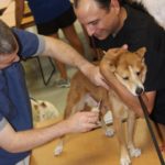 CABRA Low Cost Microchip and Shot Clinic for Your Animals