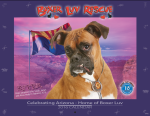 Boxer Luv Rescue